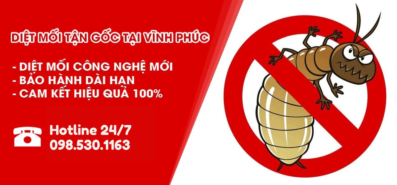Diệt mối tận gốc tại Vĩnh Phúc - Hotline 098.530.1163 Tư Vấn Khảo Sát Miễn Phí