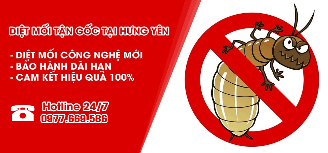 CÔNG TY DIỆT MỐI – CHỐNG MỐI HƯNG YÊN – Hotline 0977.669.586 Tư Vấn Khảo Sát Miễn Phí