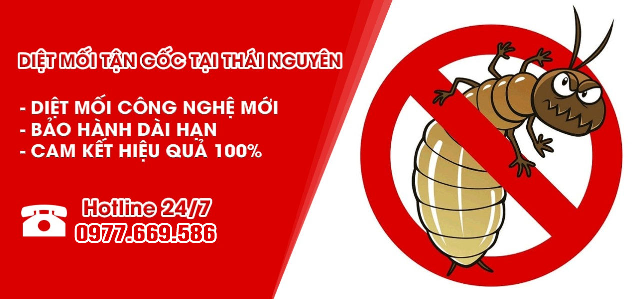 Diệt mối tận gốc tại Thái Nguyên - Hotline 0977.669.586 Tư Vấn Khảo Sát Miễn Phí